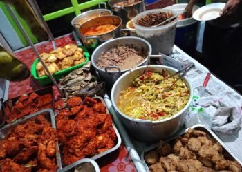 Nasi Teri Pojok Gejayan.