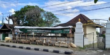 Unik! Penjual Hewan Kurban Dadakan di Yogyakarta, Buka Lapak di Kompleks Makam