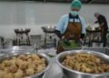 Ilustrasi pengelolaan program Makan Bergizi Gratis (MBG).