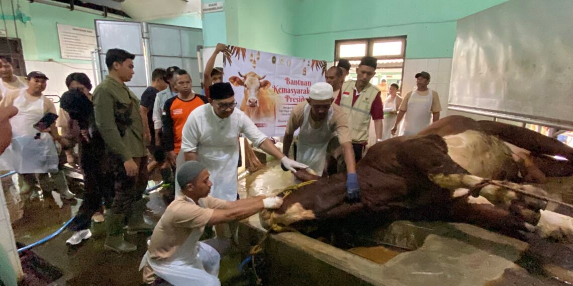 Wali Kota Yogyakarta Hasto Wardoyo menyaksikkan penyembelihan sapi kurban dari Presiden Prabowo untuk warga di kawasan Sungai Code, Rabu (27/5/2026)