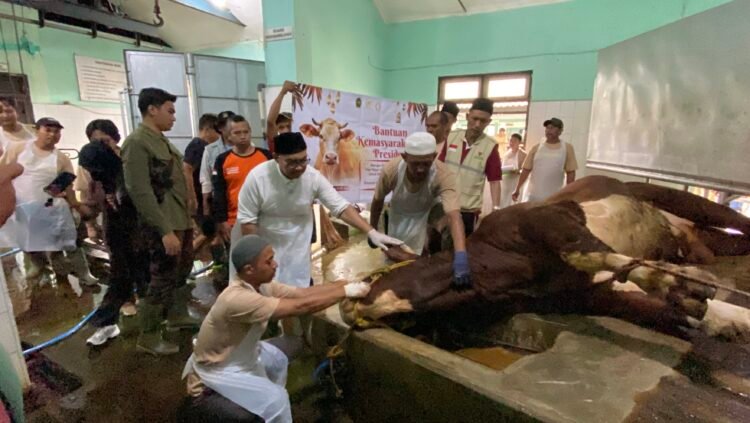Wali Kota Yogyakarta Hasto Wardoyo menyaksikkan penyembelihan sapi kurban dari Presiden Prabowo untuk warga di kawasan Sungai Code, Rabu (27/5/2026)
