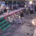 Tangkapan layar CCTV keributan diduga pelaku klitih diamankan warga di Simpang Empat Hotel Melia Purosani, Jalan Mayor Suryotomo, Kelurahan Ngupasan, Kemantren Gondomanan, Kota Yogyakarta, pada Minggu (14/6/2026).