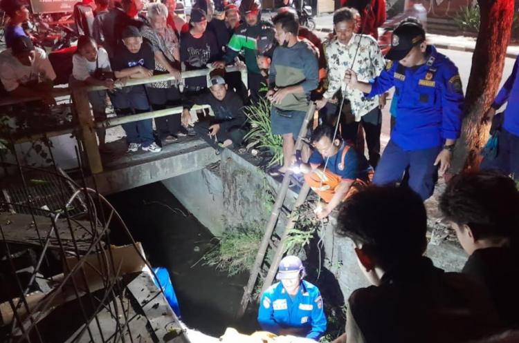 Petugas Damkarmat Kota Yogyakarta mengevakuasi seekor kuda penarik andong yang tercebur ke dalam selokan di Jalan Pramuka, Kemantren Umbulharjo, Kota Yogyakarta, pada Minggu (28/6/2026) tengah malam.