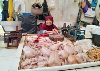 Seorang pedagang daging ayam di Pasar Kranggan Kota Yogyakarta sedang menunggu pembeli, Kamis (2/7/2026).