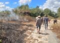 Lahan terbakar di wikayah Srimartani, Piyungan, Bantul, Rabu (22/7/2026).