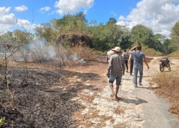 Lahan terbakar di wikayah Srimartani, Piyungan, Bantul, Rabu (22/7/2026).