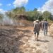 Lahan terbakar di wikayah Srimartani, Piyungan, Bantul, Rabu (22/7/2026).