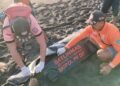 Tim SAR gabungan melakukan evakuasi korban terseret ombak dalam kondisi meninggal di Pantai Bugel, Kabupaten Kulon Progo, Senin (6/7/2026).