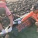 Tim SAR gabungan melakukan evakuasi korban terseret ombak dalam kondisi meninggal di Pantai Bugel, Kabupaten Kulon Progo, Senin (6/7/2026).