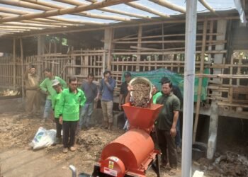Kelompok Ternak Rukun Olah Kohe Jadi Kompos Bernilai Tinggi