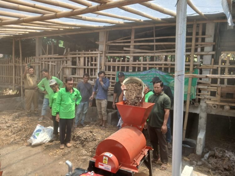 Kelompok Ternak Rukun Olah Kohe Jadi Kompos Bernilai Tinggi