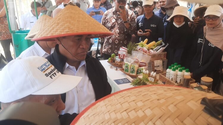 Mentan Sebut Cadangan Pangan Capai 4,5 Juta Ton