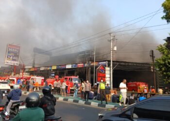 Transhome Terbakar